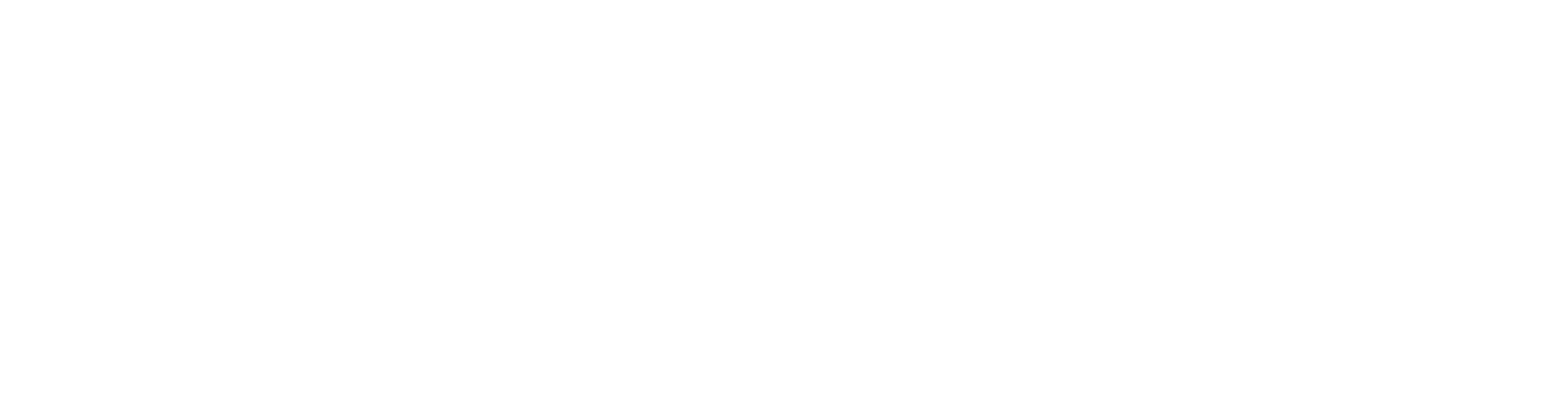 Tracers Logo (white)